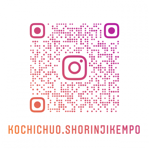 kochichuo.shorinjikempo_nametag.png