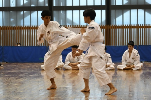 DSC_1485.JPG